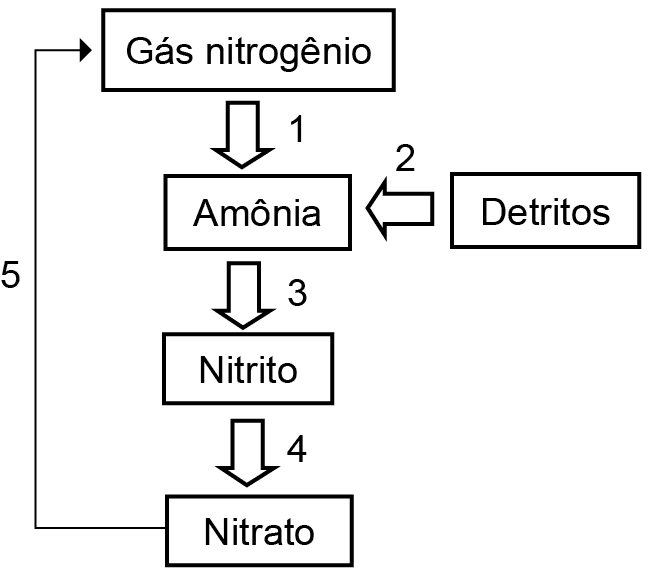 Imagem 1 da questão 111 do ENEM 2023