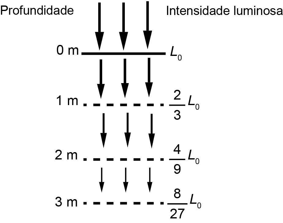Imagem 1 da questão 157 do ENEM 2023