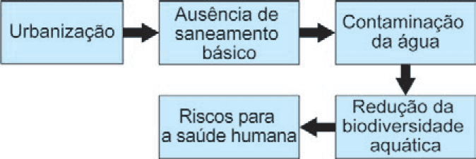 Imagem 1 da questão 102 do ENEM 2024