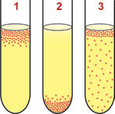 Imagem 1 da questão 131 do ENEM 2024