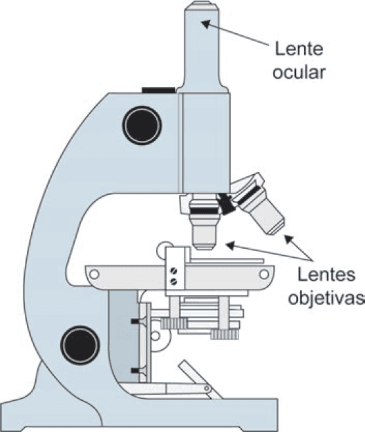 Imagem 1 da questão 154 do ENEM 2024