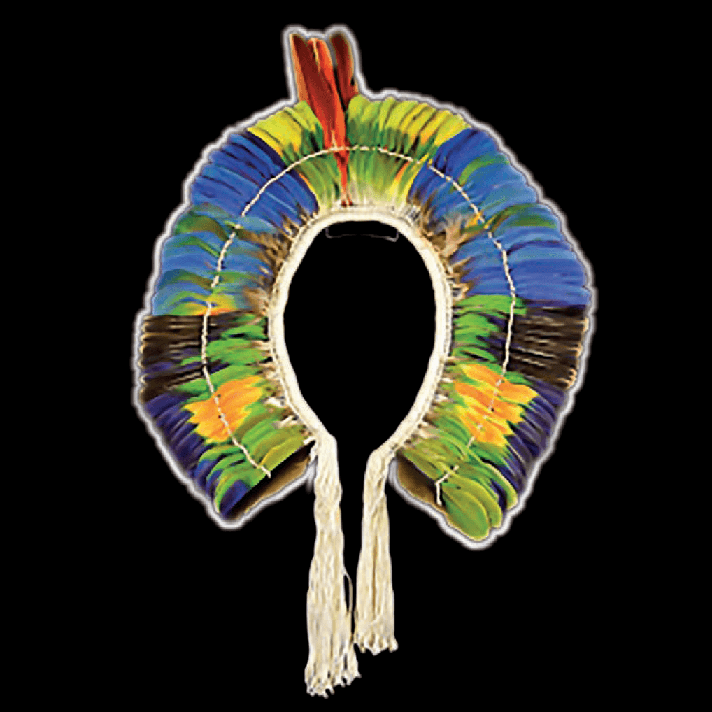 Imagem 1 da questão 23 do ENEM 2024